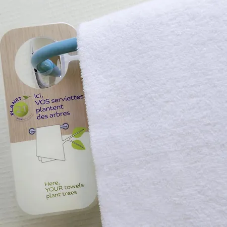 Ibis Budget Airport *