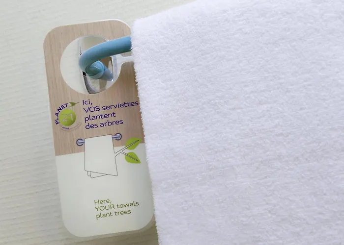 Ibis Budget Airport *